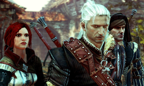 the witcher 2