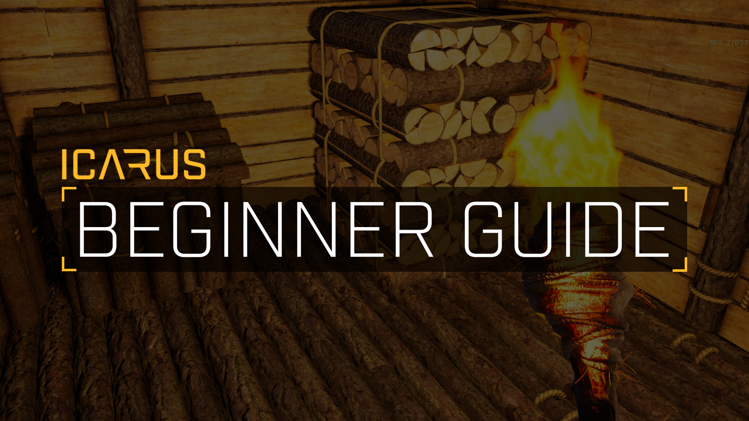 beginner's guide to icarus