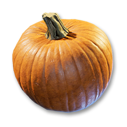 item pumpkin