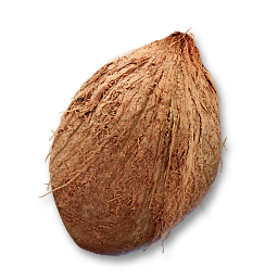 item coconut mature