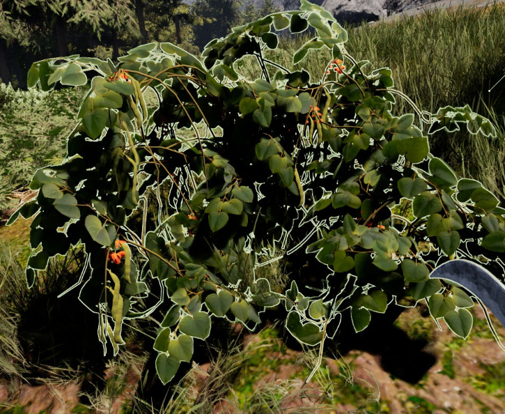 soy beans icarus plant image