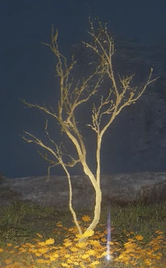 illusory tree elden ring