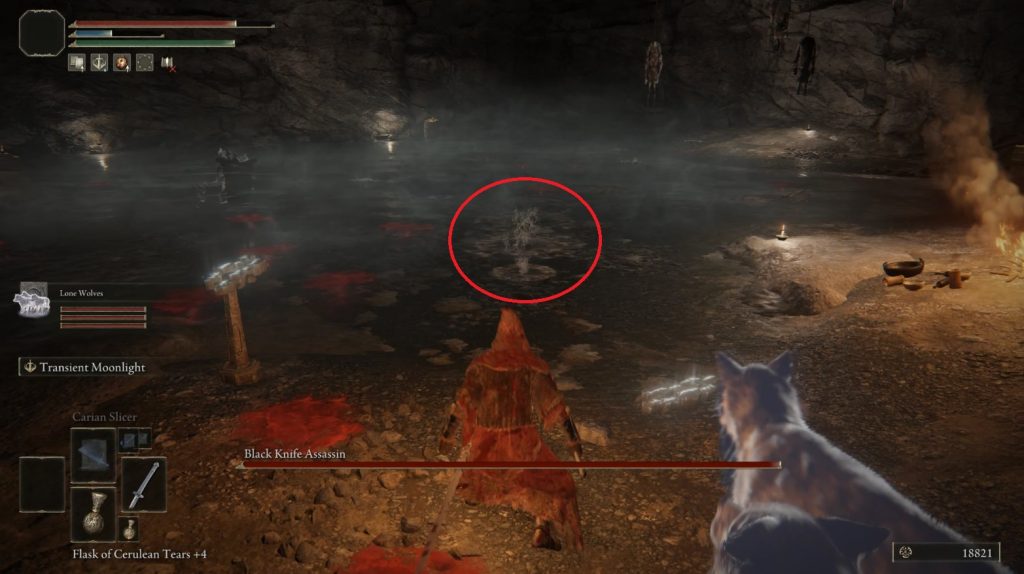 black knife assassin footprints in water elden ring