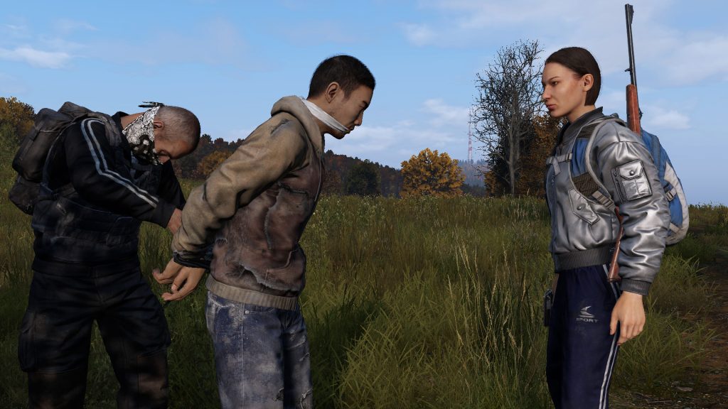 dayz image 1