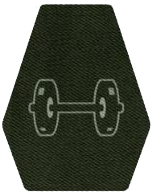 starfield weight lifting skill