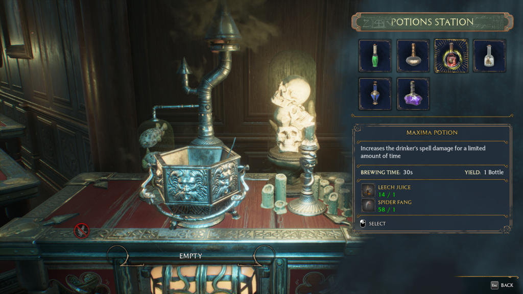 maxima potion interface