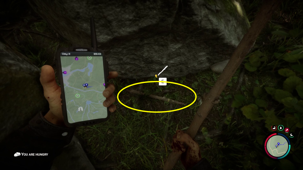 stick on ground how to get food sons of the forest guide