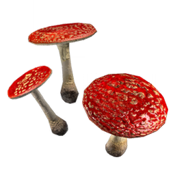 hogwarts legacy leaping toadstool caps