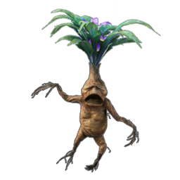 hogwarts legacy mandrake