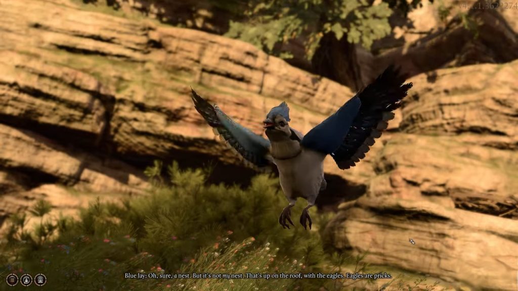 baldurs gate 3 mountain pass blue jay