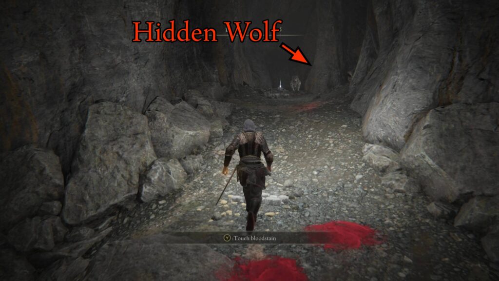 elden ring rivermouth cave guide hidden wolf