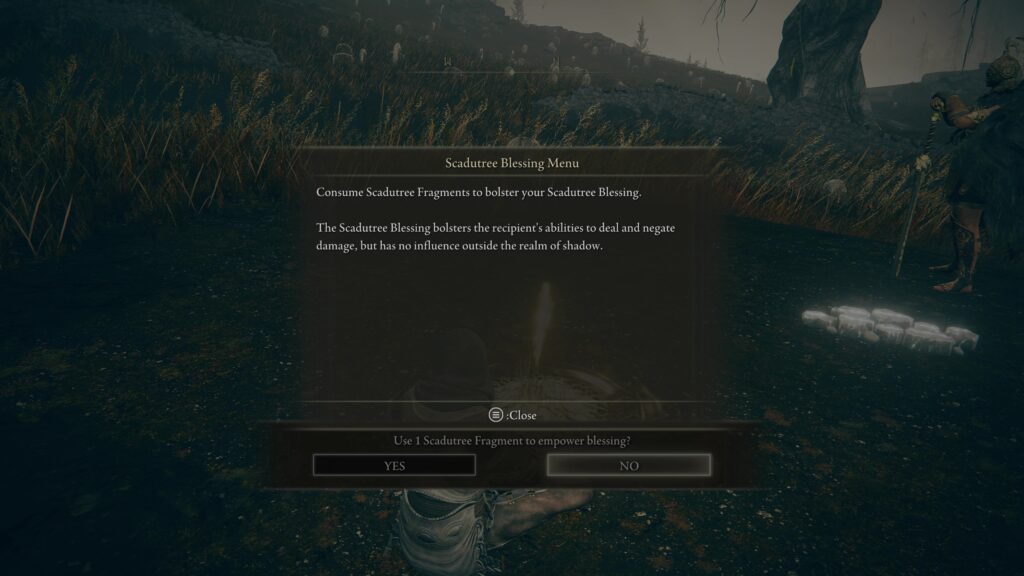 elden ring scadutree blessing site of grace in game description